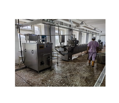 SUS316L/SUS304 Profissionais Máquinas de processamento de sorvetes para explorações agrícolas