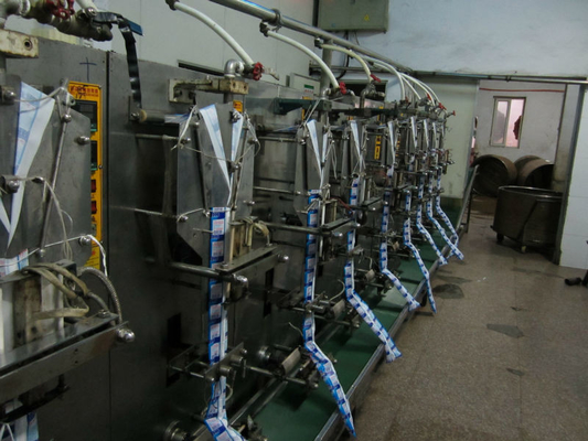 Linha de produção de água de saco completa para enchimento rápido e preciso a 2200 sacos/hora