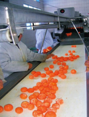 Matéria-prima 7 Máquina de enchimento de espinhos para linha de produção de suco de frutas frescas