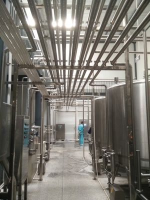 2000-60000kg Baseada em linha de produção de leite de amêndoa totalmente automática para fábricas ocupadas