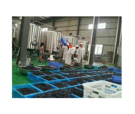 Precisão de preenchimento 100% Máquinas de bebidas Línea de produção de material de cintura plástico/SUS304