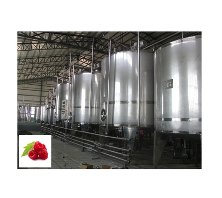 Instalação de processamento de purê de frutas frescas, framboesa e purê de framboesa para bebidas