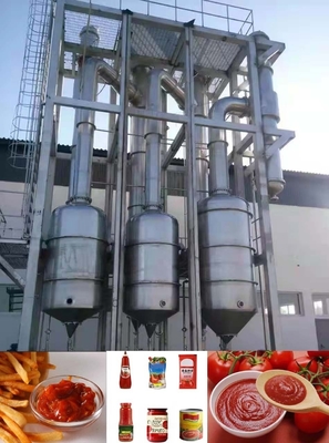 Fabrica de processamento de pasta de tomate de 35000 kg ideal para produção em larga escala