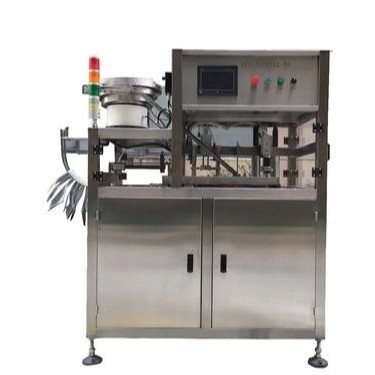 220V/380V Voltagem Automática 1500b/h Saco BIB em máquina de enchimento de caixa