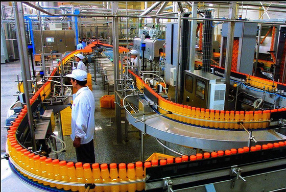 Linha automática de processamento de suco de cinto de plástico / Linha de processamento de suco de frutas para garrafas PET